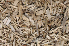 biomass boilers Orton Wistow